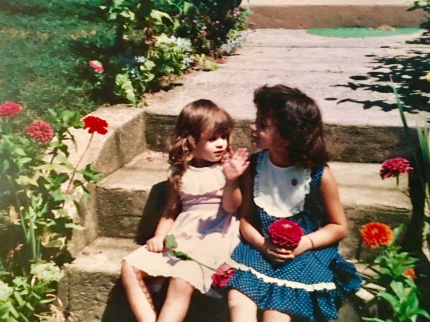 Zinnia’s like saucers in Glendora, NJ.