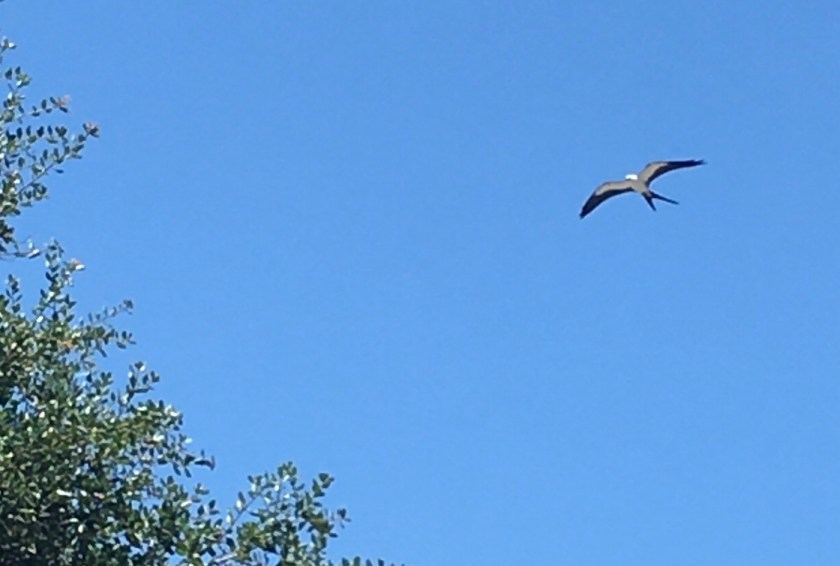 1763107D-166F-4933-946D-D67A65DD468F