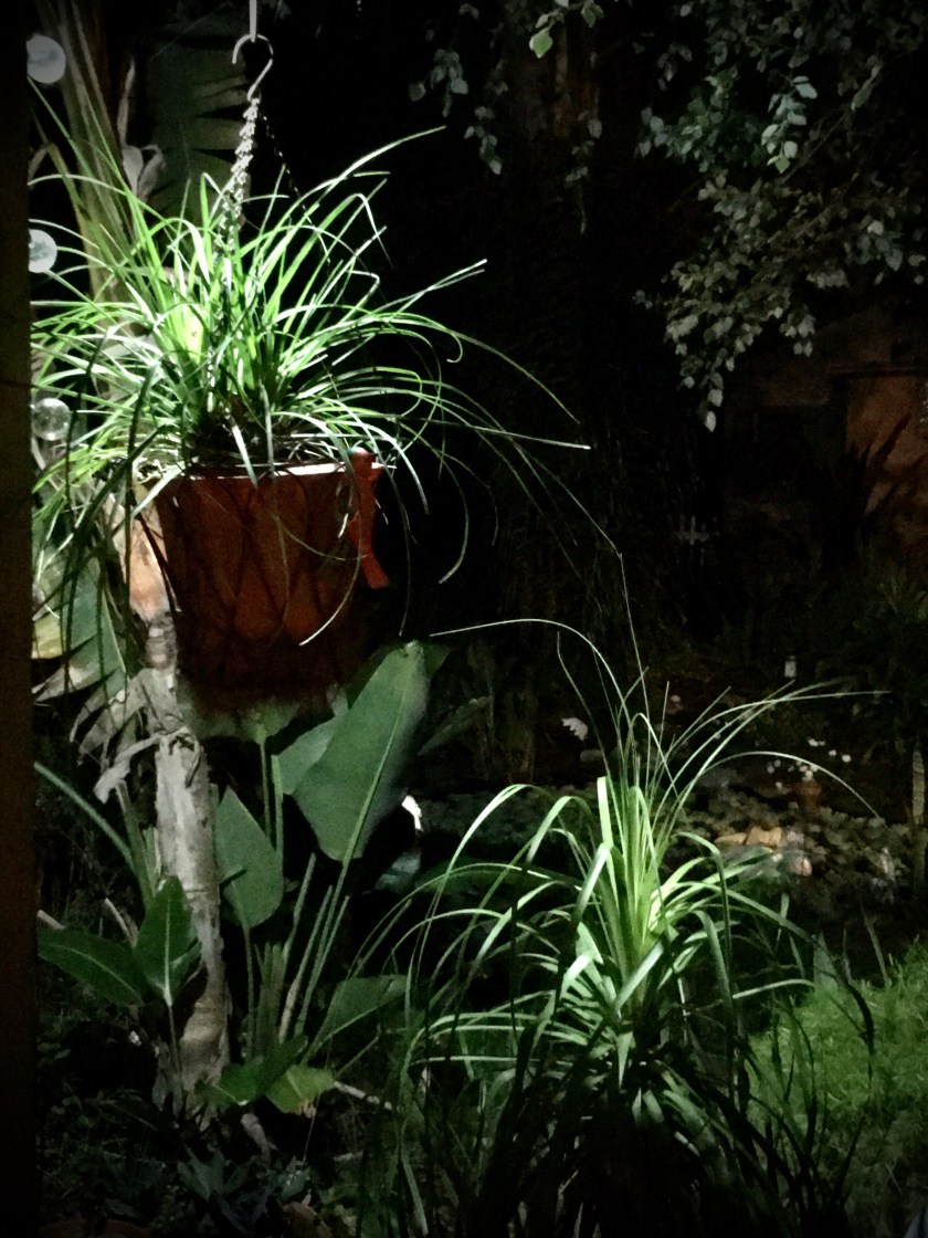 37EC7B60-6301-4D47-A43D-9AD46C74CDFD