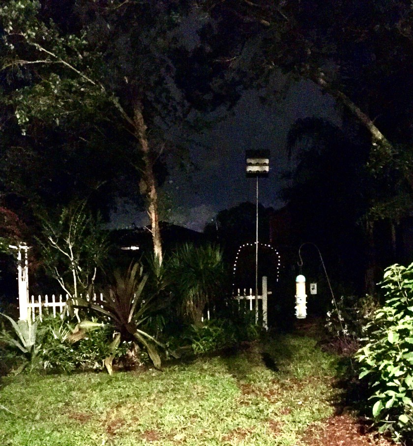 4D1967A8-4302-434C-89A0-A86488F6C16E