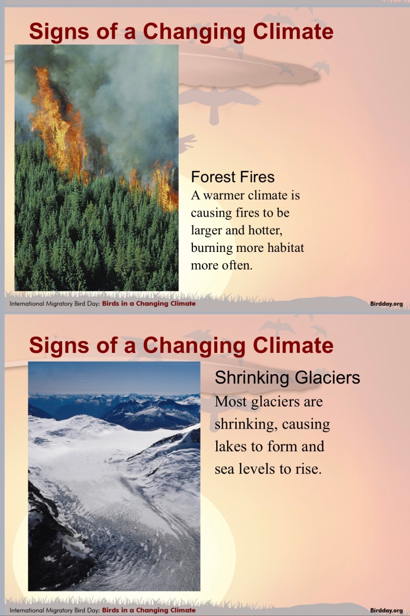 9BC29832-400F-41DC-B9AD-371C0944C895