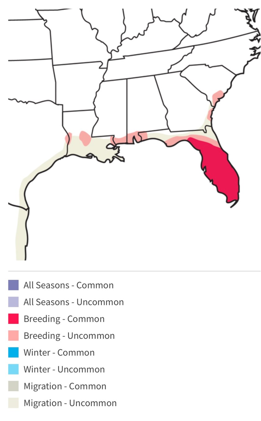 C31AB111-843F-4020-903C-976099D7BF54