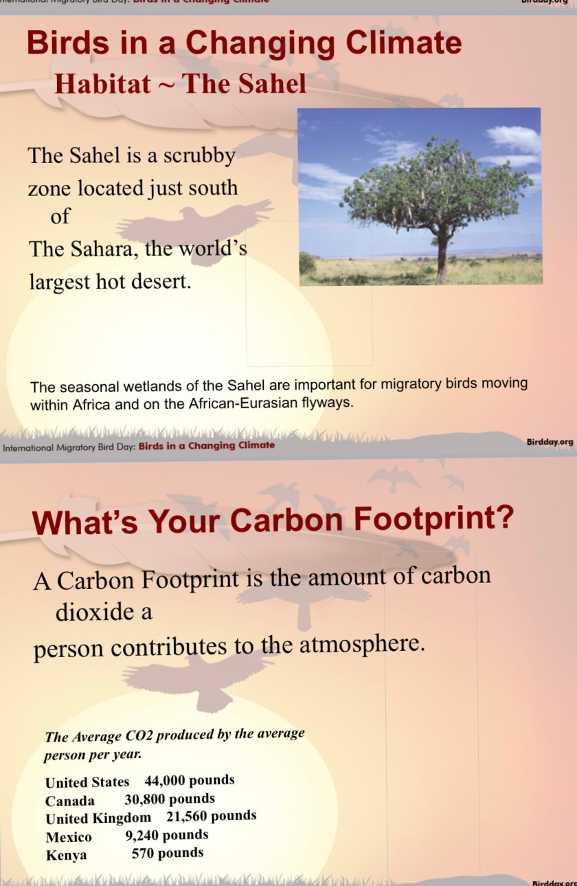 D5A518BE-050F-4883-9FDF-0B916E725B49